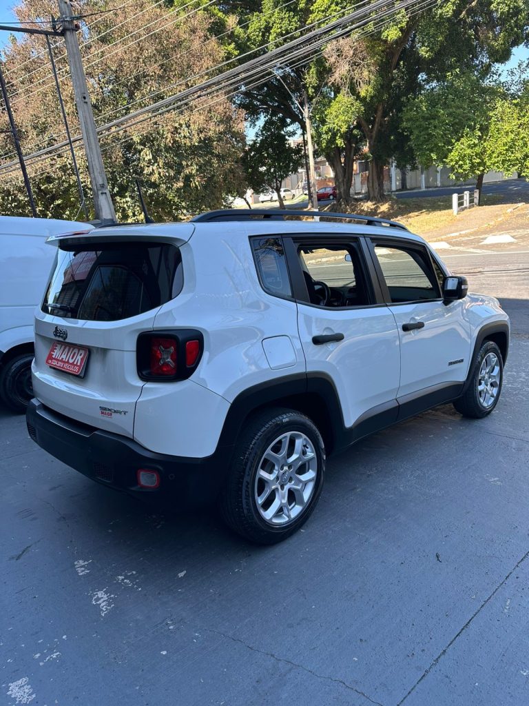 RENEGADE SPORT MANUAL RENEGADE SPORT MANUAL