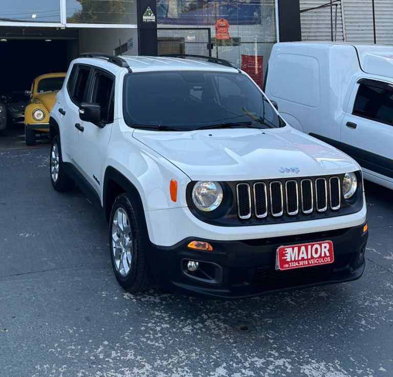 RENEGADE SPORT MANUAL RENEGADE SPORT MANUAL