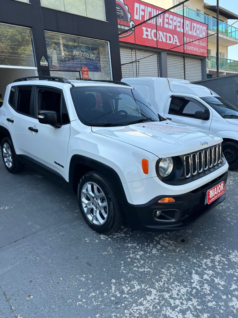 RENEGADE SPORT MANUAL RENEGADE SPORT MANUAL